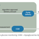 Hypoglycaemic-Hyperglycaemic system Minimiser (HHM) developed by Animas Corporation in collaboration with the Juvenile Diabetes Research Foundation (JDRF)